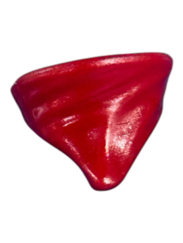 kraag rood zakdoek bandana 30087090