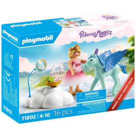Verjaardagsfeestje van Pegasus 71802