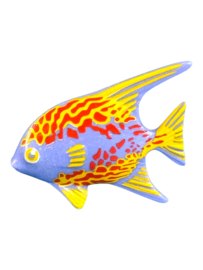 Zeekoetvis 30636627