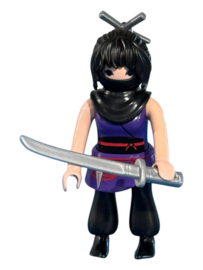serie 21 ninja