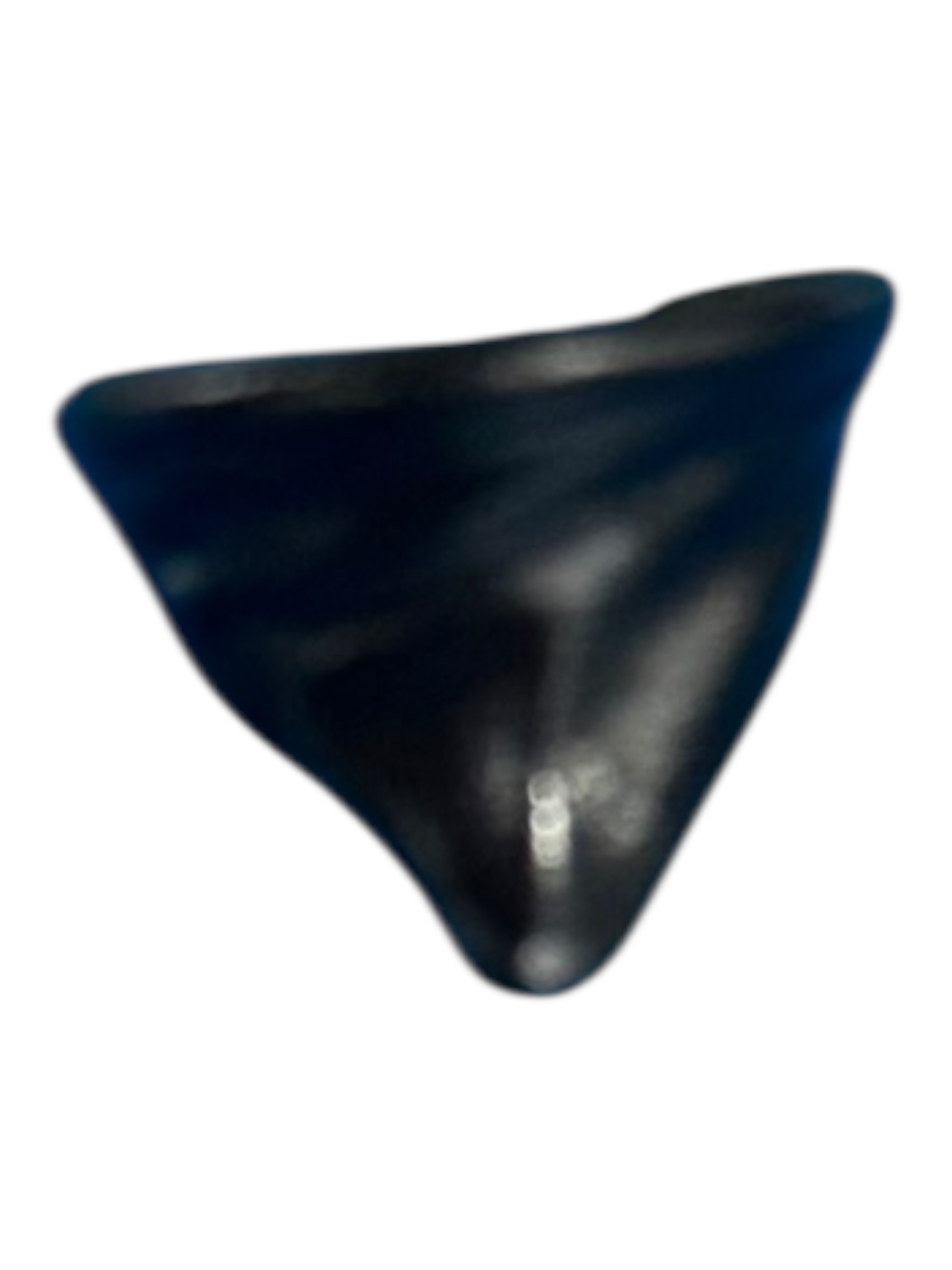 mond zakdoek zwart 30046380
