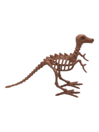Dino skelet