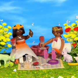 Zomer picknick
