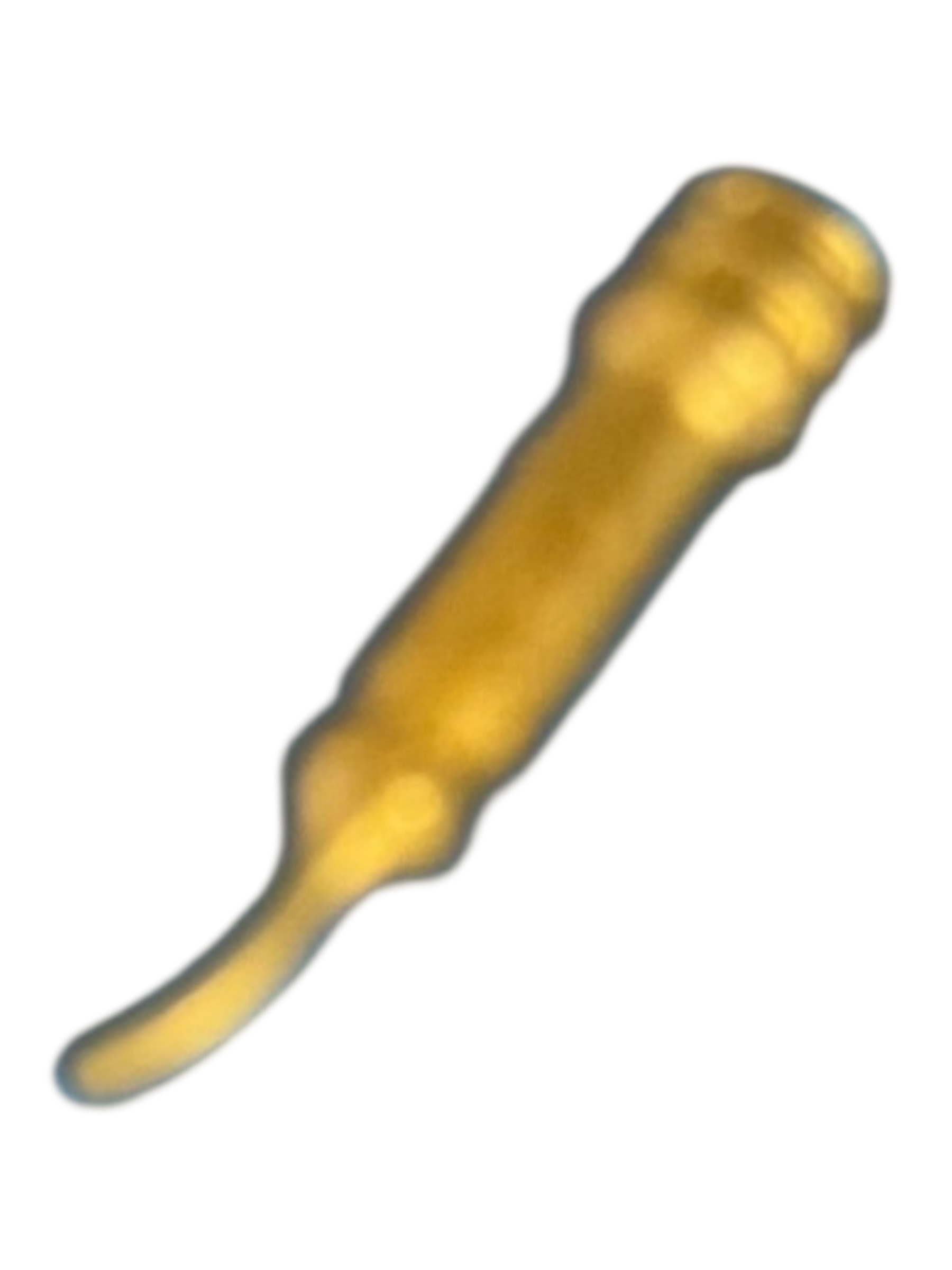 microfoon goud 30041882