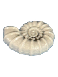 slak / schelp fossiel 30052203
