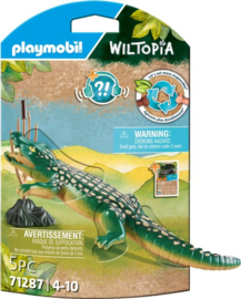 Alligator - 71287