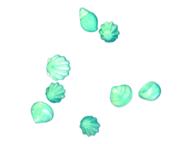 schelp zakje 4x aqua 30511323