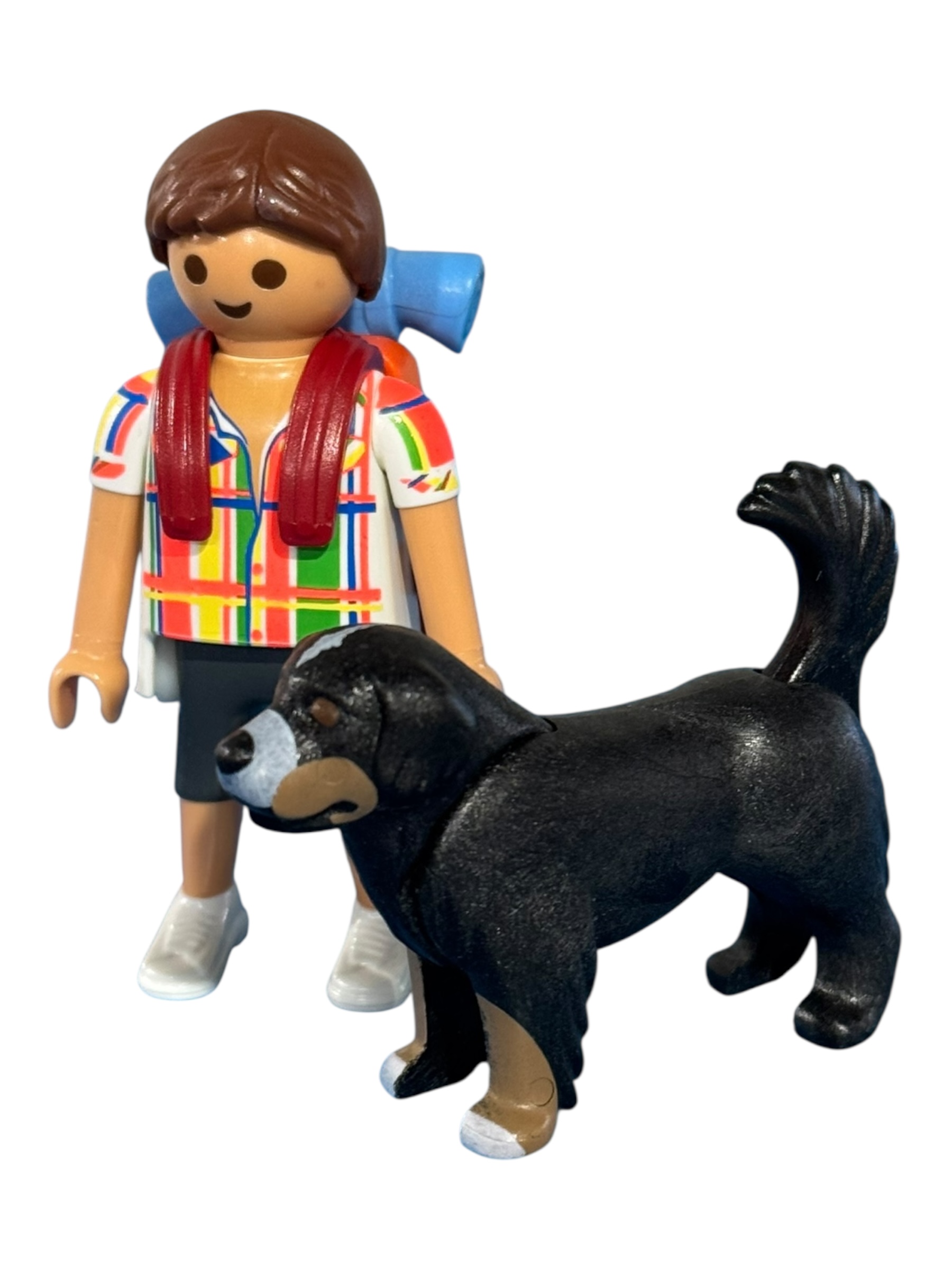 My Happy serie 3 man 2 Wandelaar met hond
