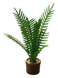 Pot bruin palmbladeren 30059420/30725730