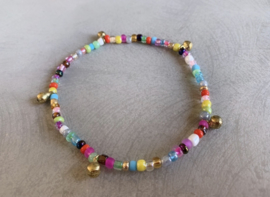 Multicolor anklet