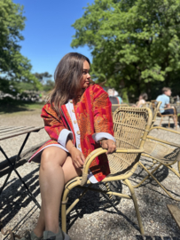 The tiger jacket