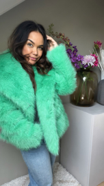 The green furry coat