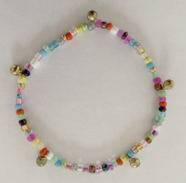 Multicolor anklet