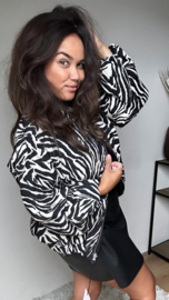 Reversible bomber zebra