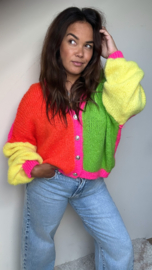 Colourful knit