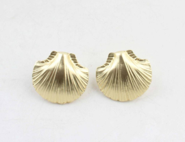Earrings Shells