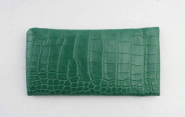 Brillen etui groen