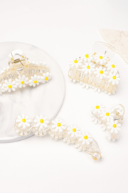 Haarklem Daisy
