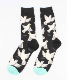 Socks Dove