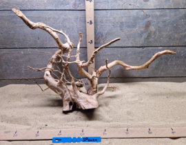 Spiderwood Selectie SP0020