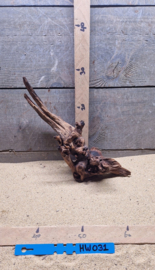 Hornwood HW031