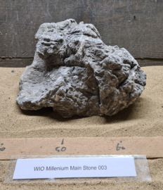 Millenium Main Stone 003