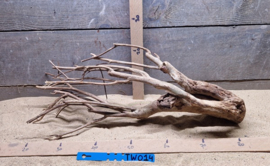 Talawa Wood TW014