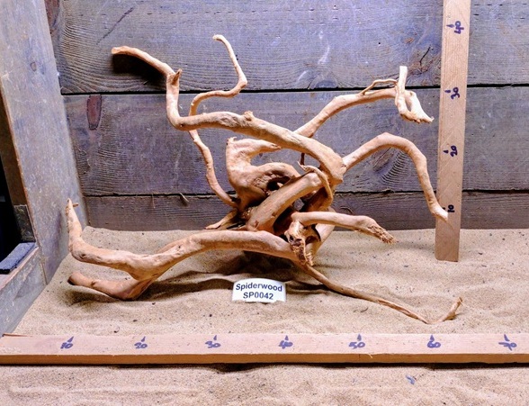 Spiderwood SP0042