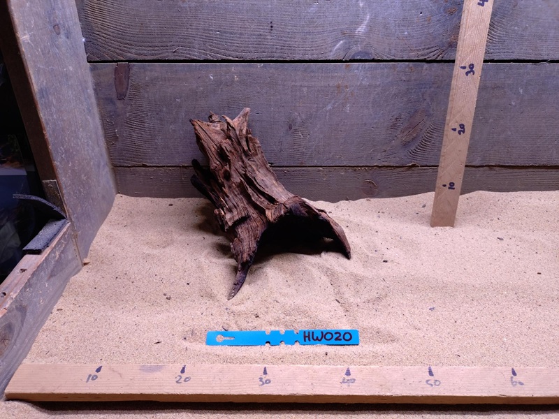 Hornwood HW020