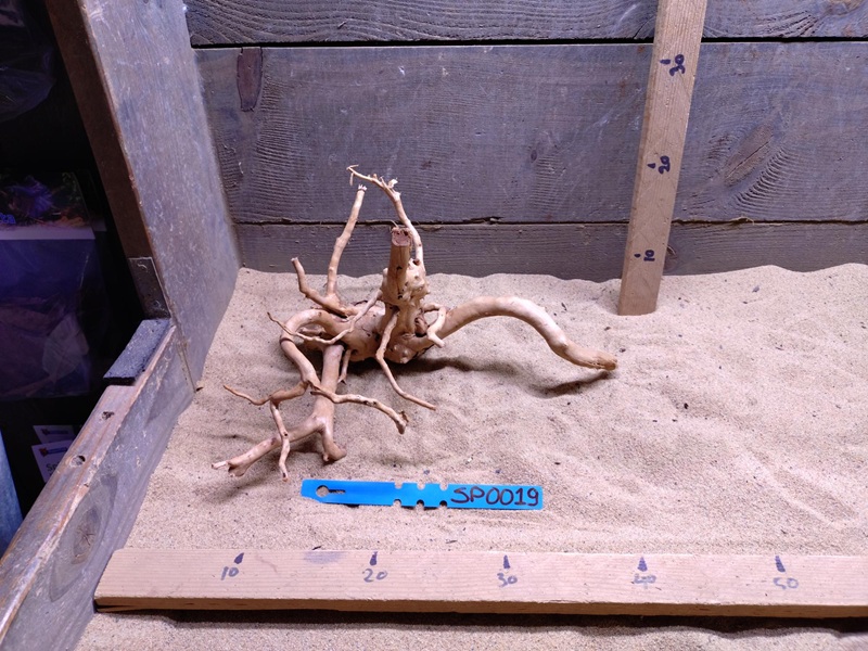 Spiderwood SP0019