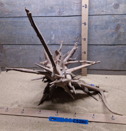 Corbo Root CS0010