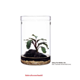 DOOA Glass Pot Maru 130 + Magnet Light Set + Jungle Soil en Jungle Base