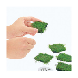 ADA Riccia Stone
