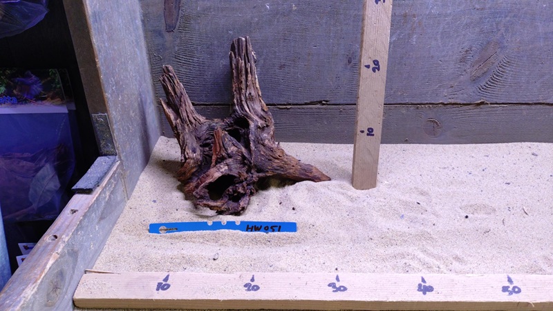 Hornwood HW051