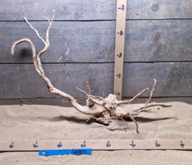 Spiderwood Selectie SP0013