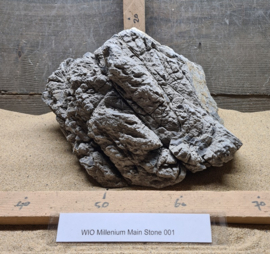Millenium Main Stone 001