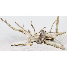 WIO Neptune Driftwood Limited