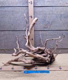Dark Spiderwood DSW011