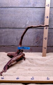 Hornwood HW036