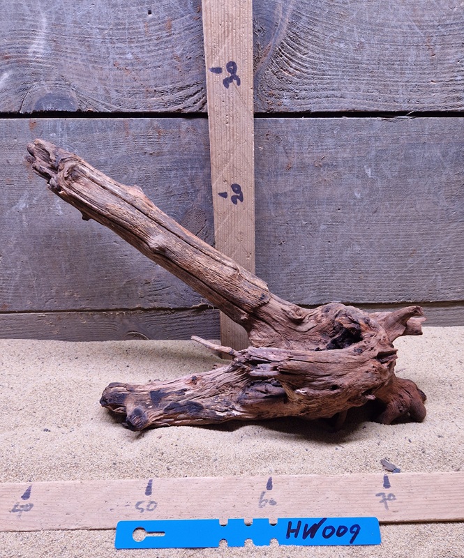 Hornwood HW009