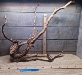 Spiderwood Selectie SP0041