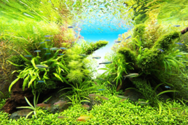 ADA Aquasky RGB II 60 cm