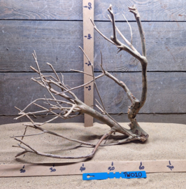 Talawa Wood TW010