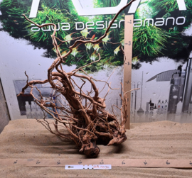 Azalea Root AR0030