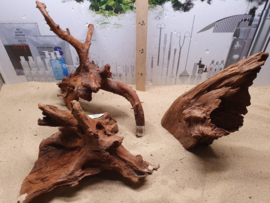 Driftwood XXL ca. 50 cm