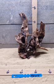 Hornwood HW019