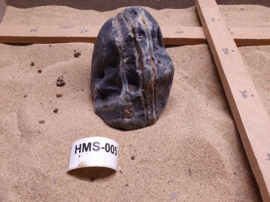 Hakkai Main Stone 005