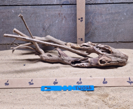 Talawa Wood TW016
