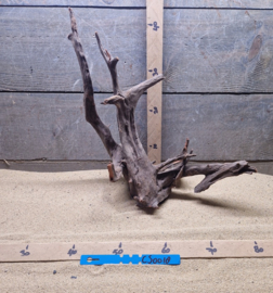 Corbo Root CS0018