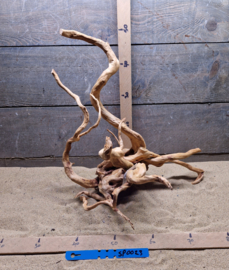 Spiderwood Selectie SP0023